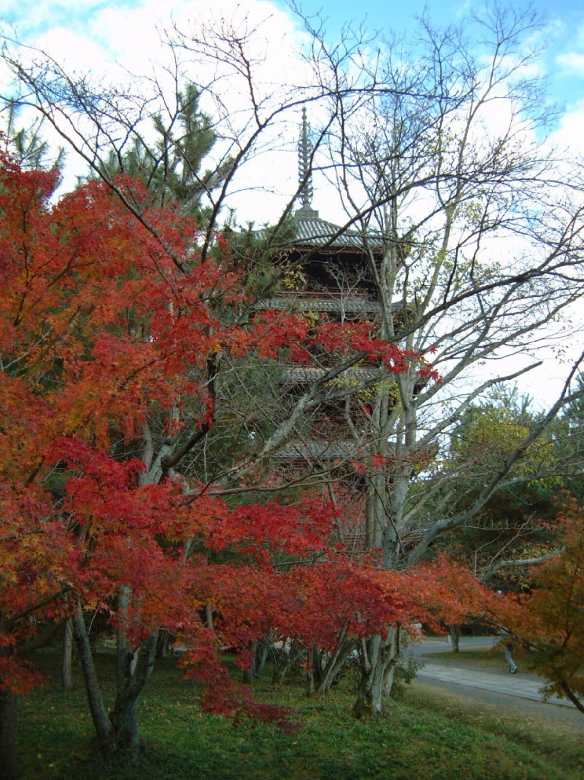 御室仁和寺の紅葉