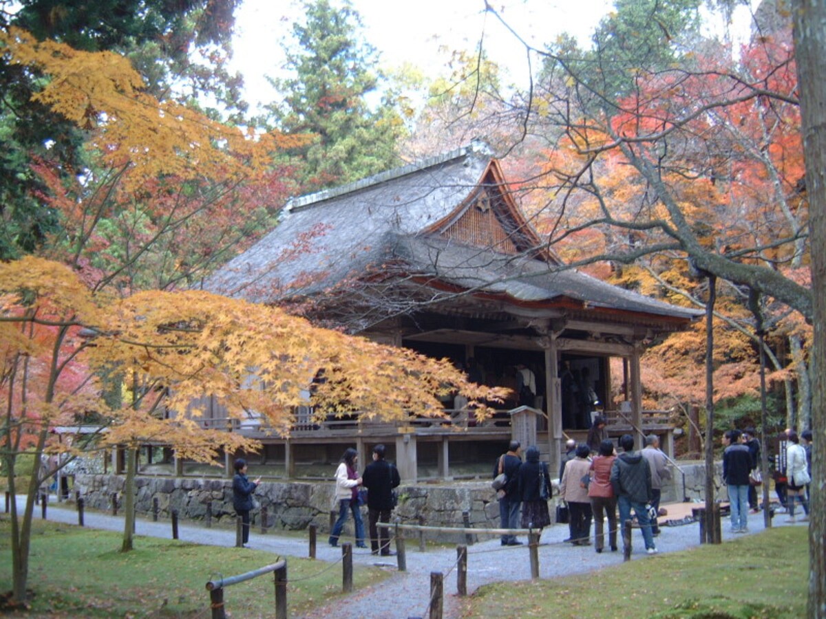 大原・三千院門跡の紅葉