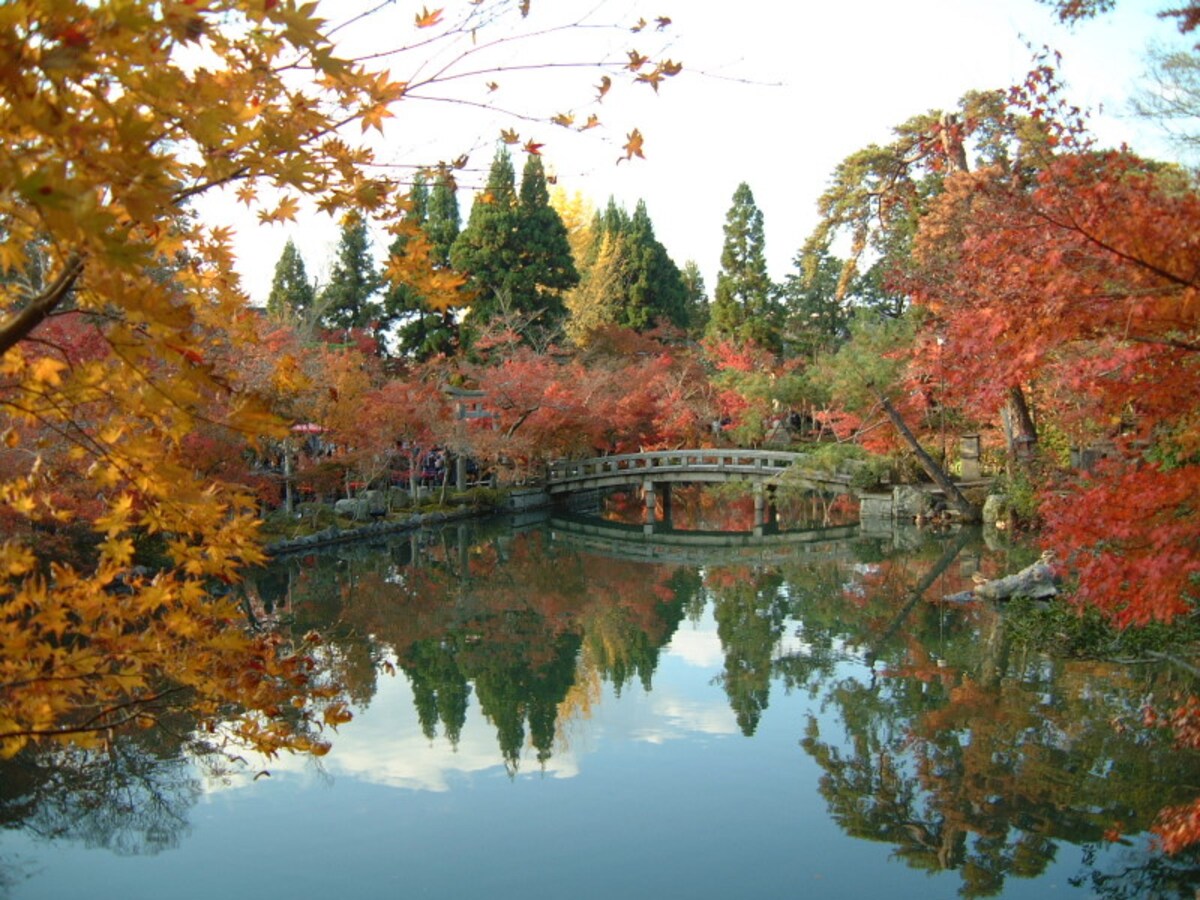永観堂（禅林寺）の紅葉（1）