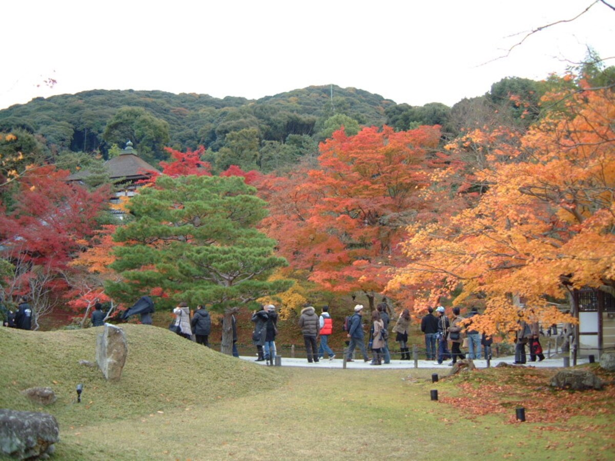 高台寺の紅葉