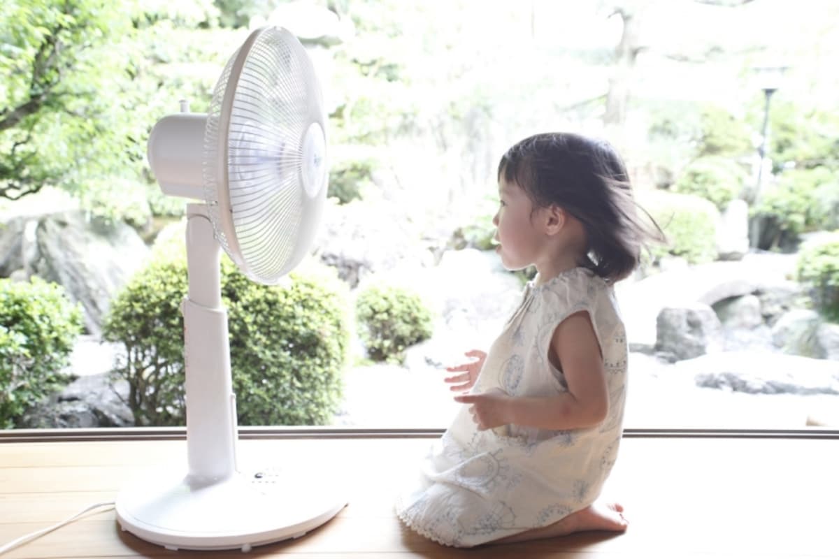 扇風機とサーキュレーターは似ているけど目的が異なるもの