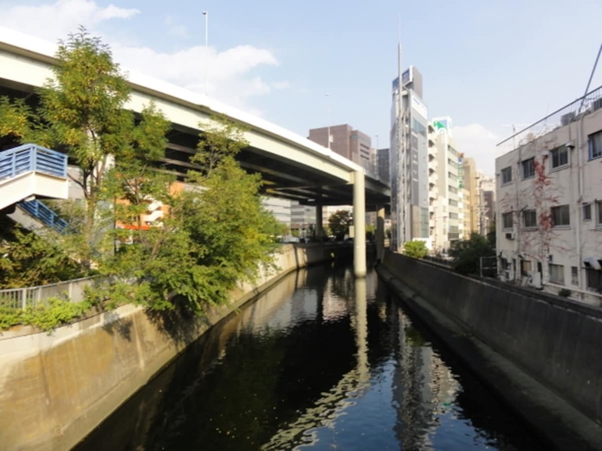 神田川の上には高速道路が走っている。