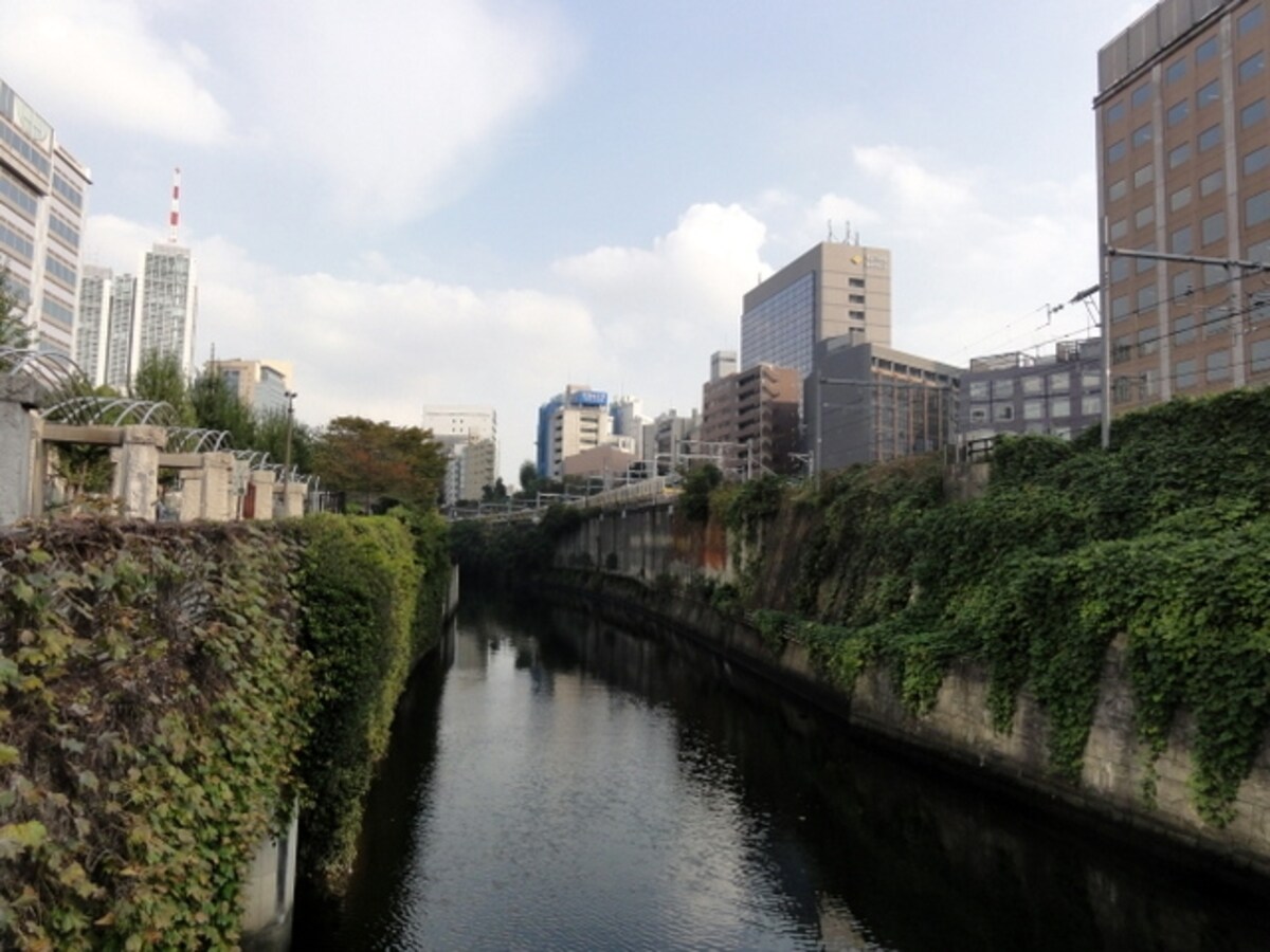 左側がお茶の水坂。上り坂になっている。