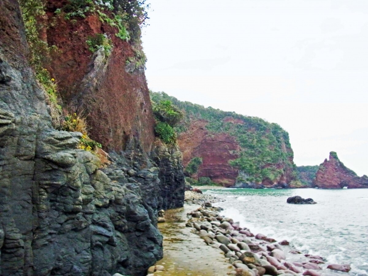 海士