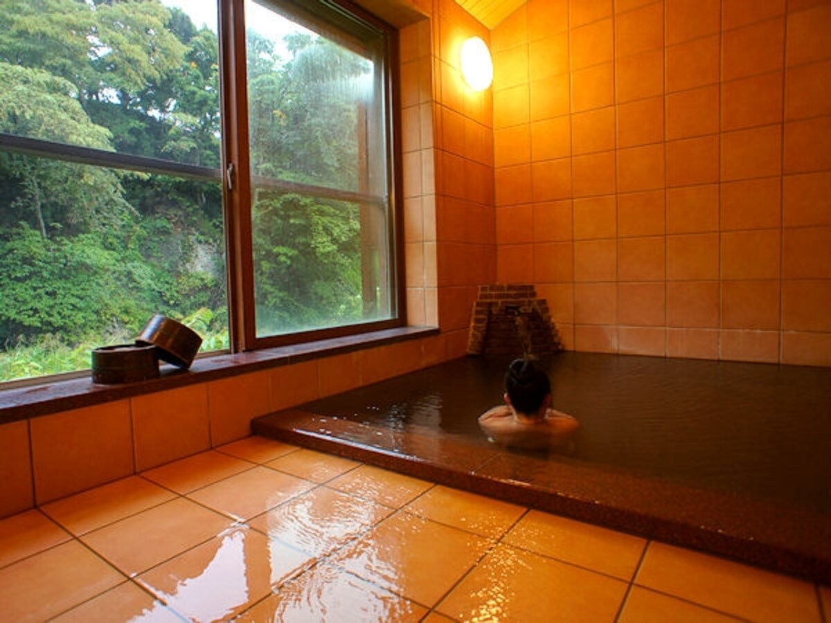 鉛温泉藤三旅館銀の湯