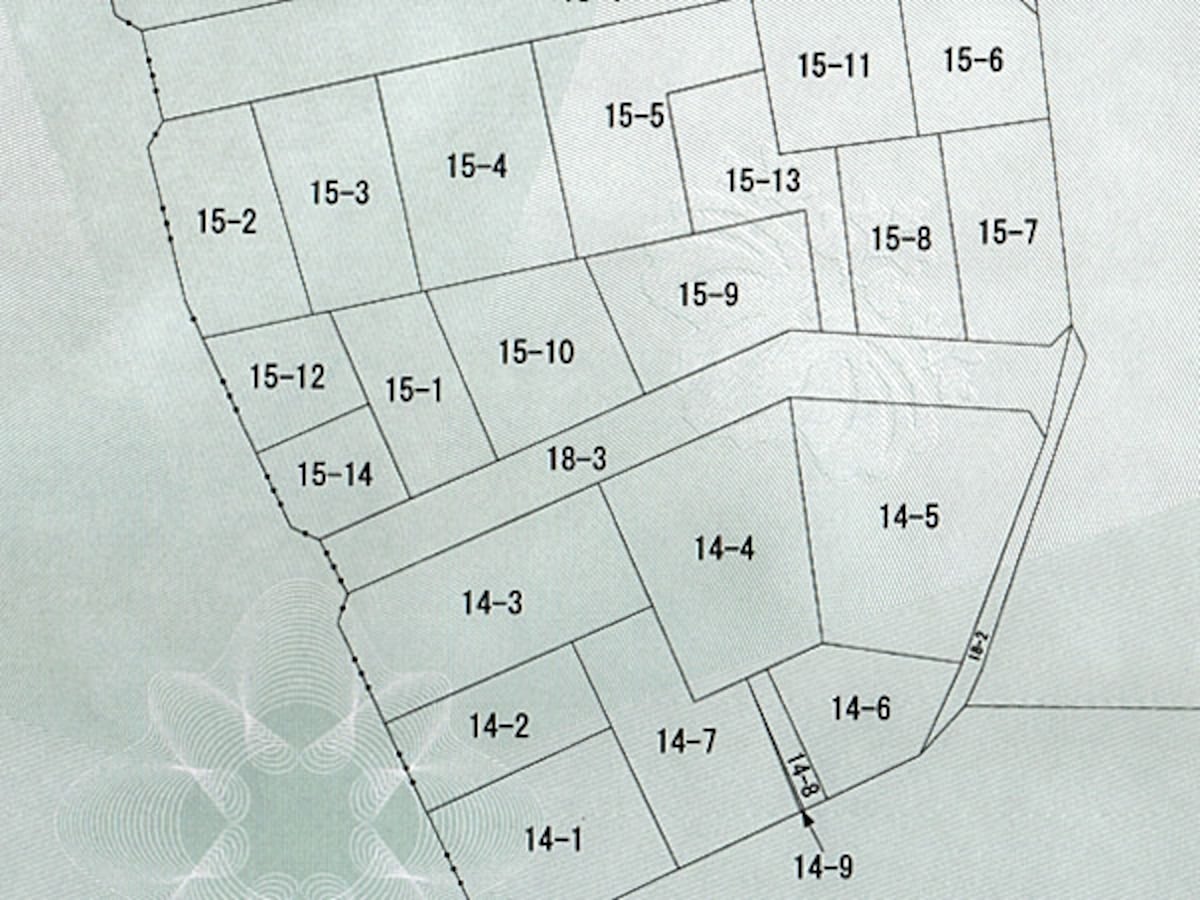 地図に準ずる図面（公図）の例