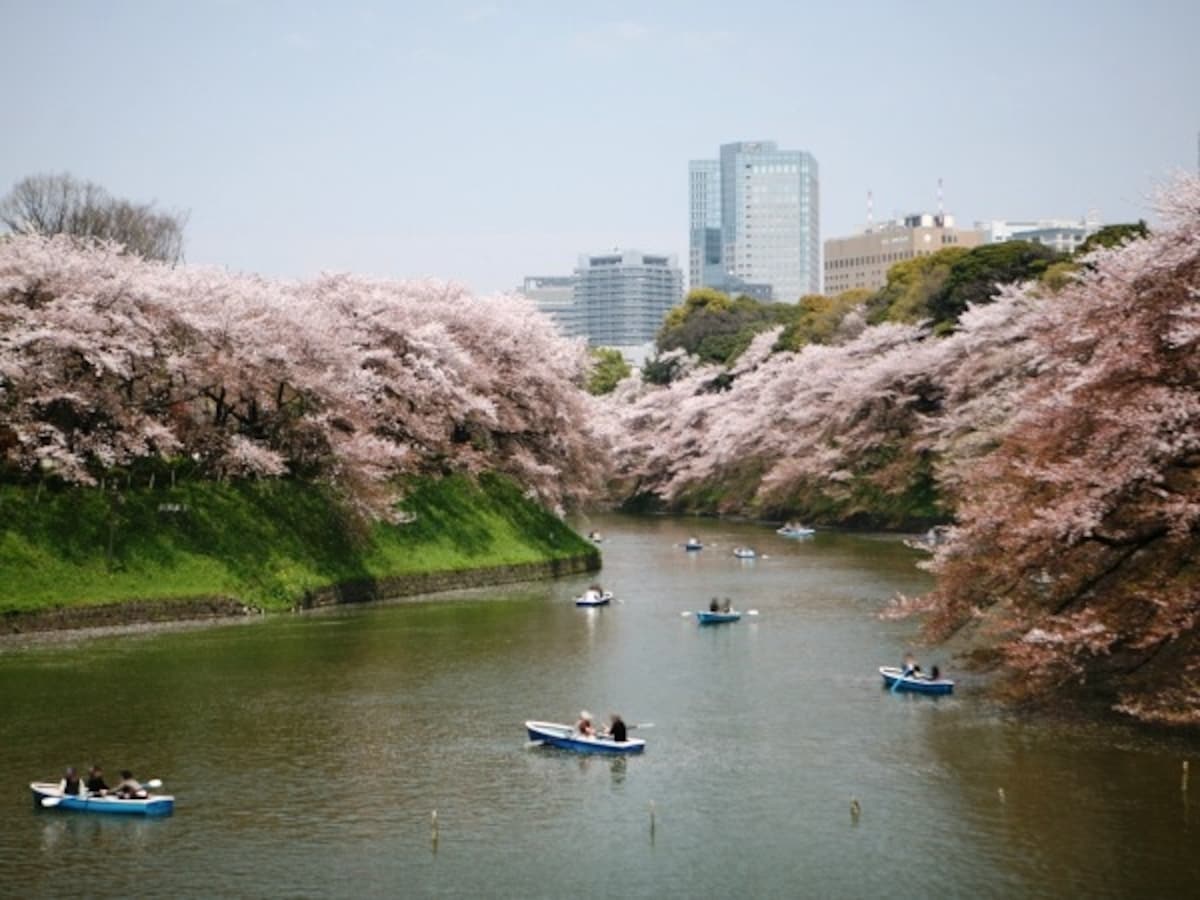 千鳥ヶ淵緑道