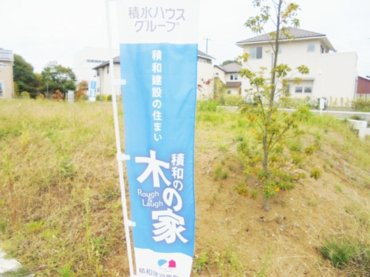 木の家