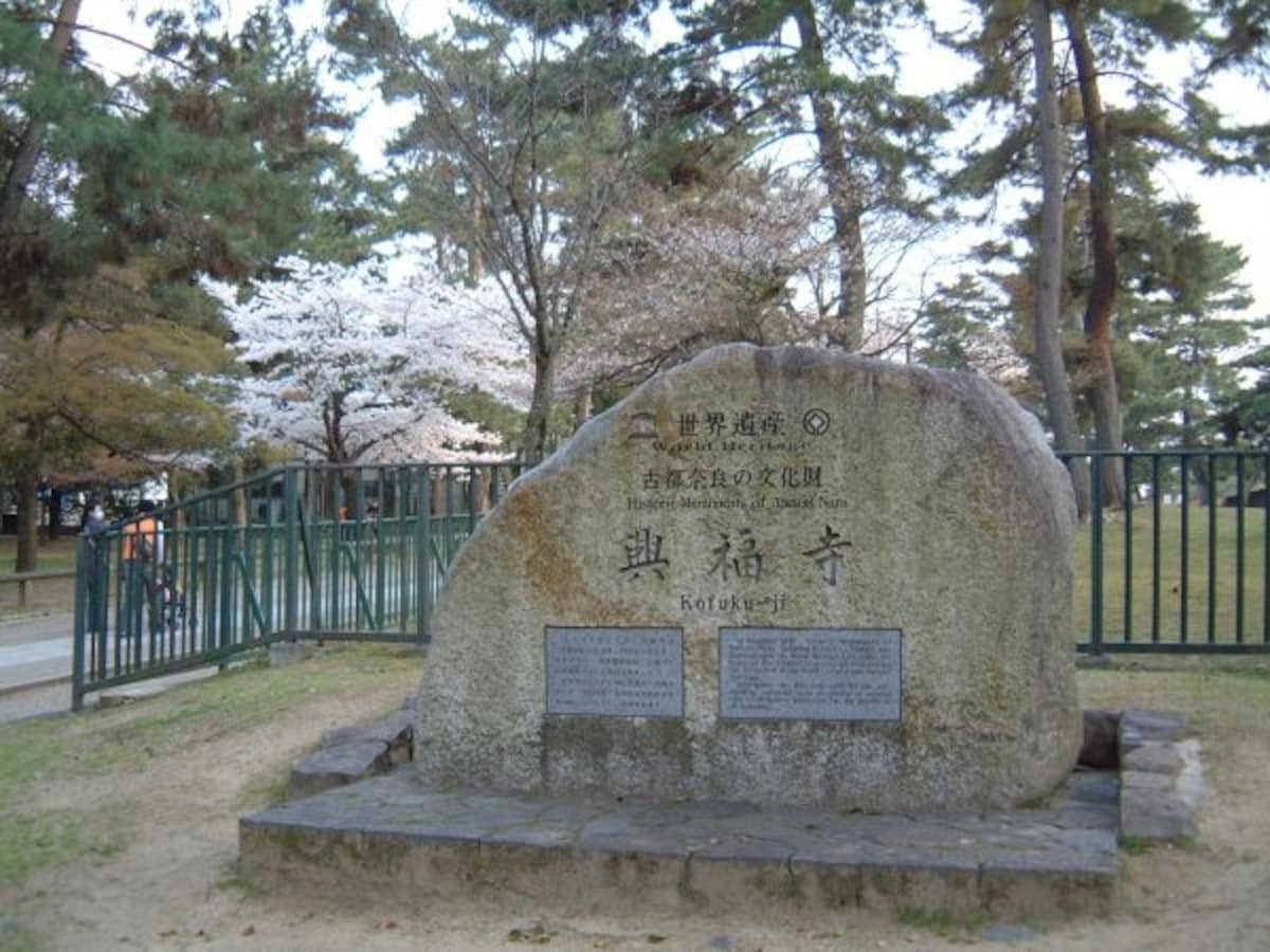 興福寺(2)