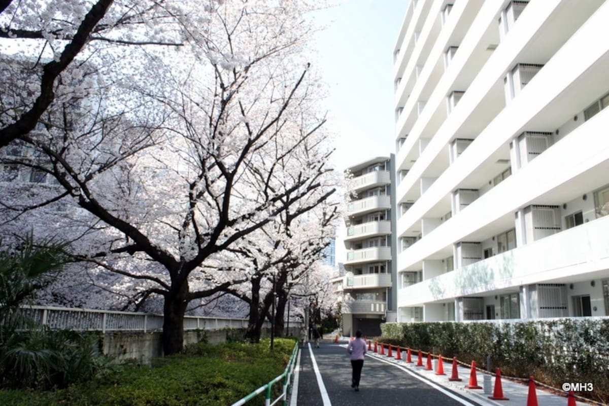 桜並木に面した「桜プレイス」