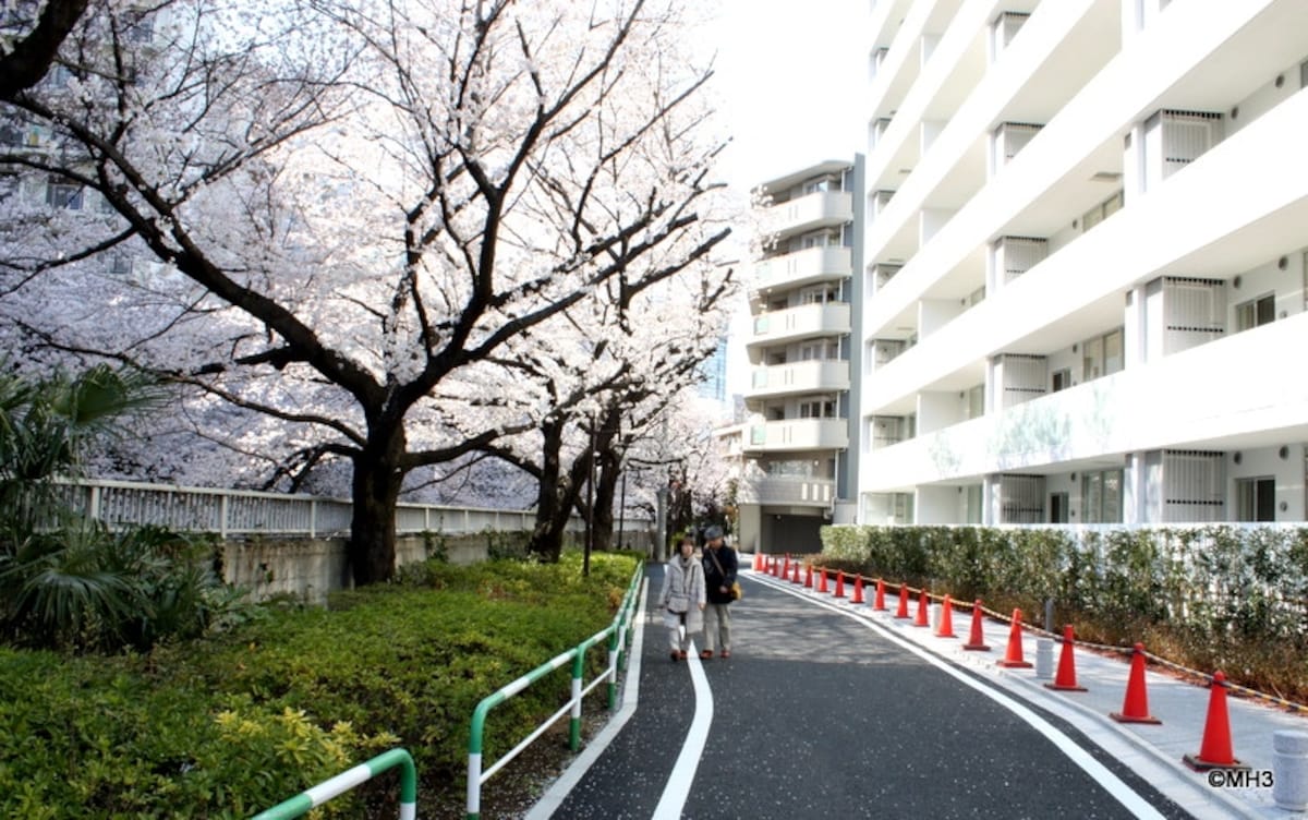 桜プレイス