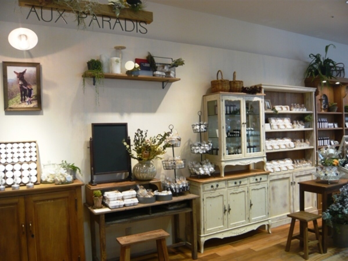AUX PARADIS