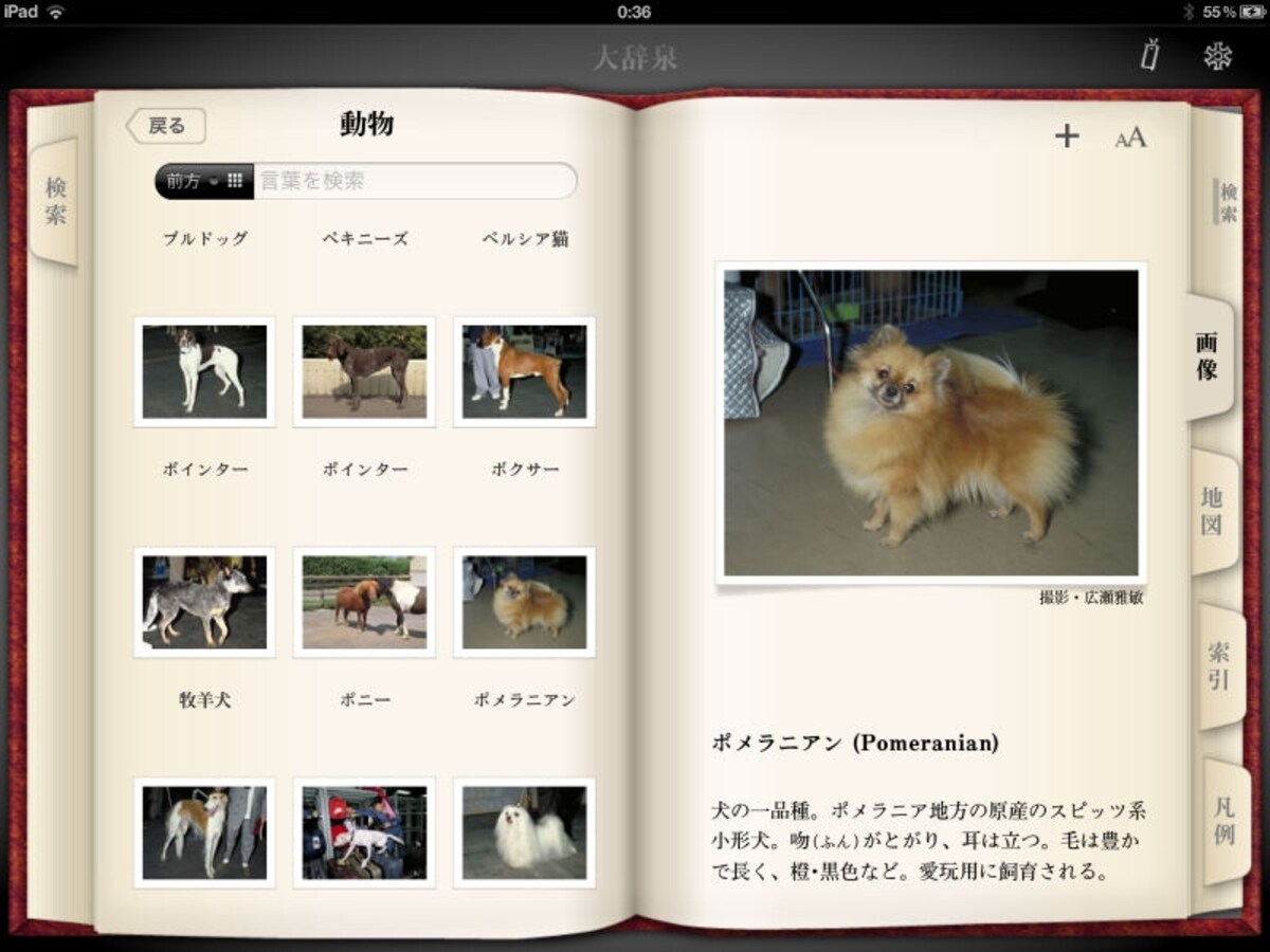 25万3500語を載録する本格的な百科事典＋国語辞典アプリ「デジタル大辞泉」
