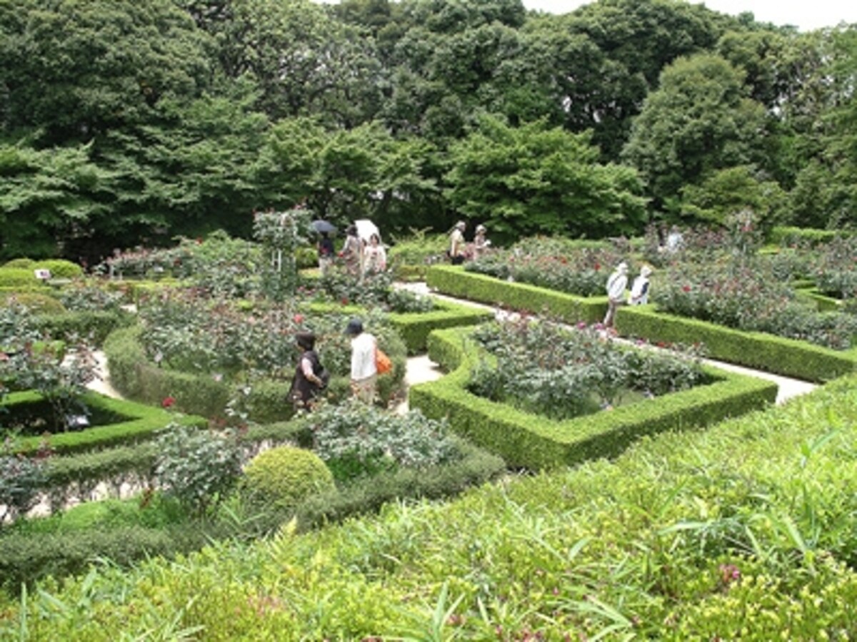 旧古河庭園