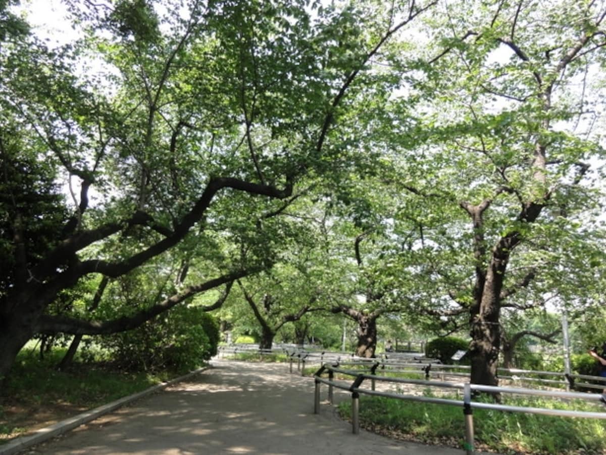 人であふれていたけれど、なんとか誰もいない一角にカメラを向けてみた。