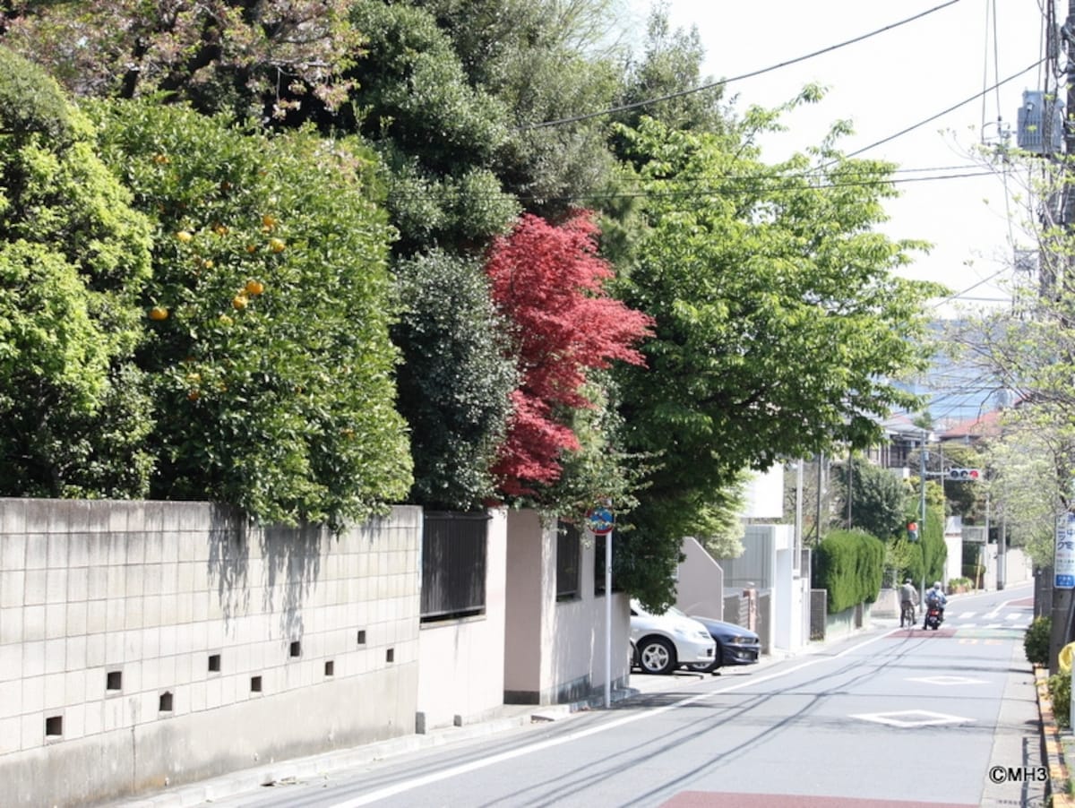 「第一種低層住居専用地域」の街並み（目黒区下目黒6丁目）