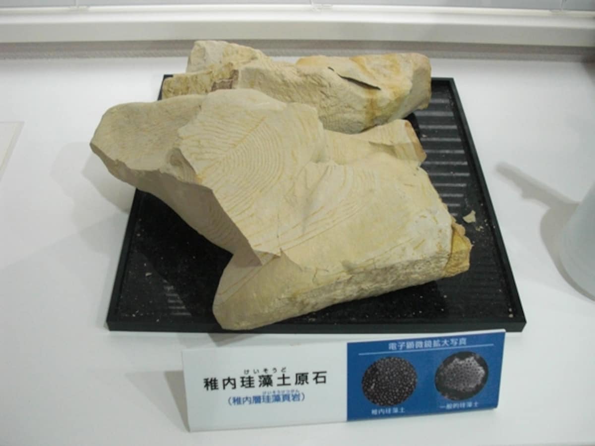 珪藻土