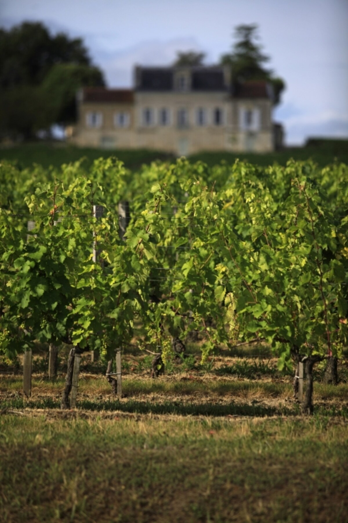 st emilion