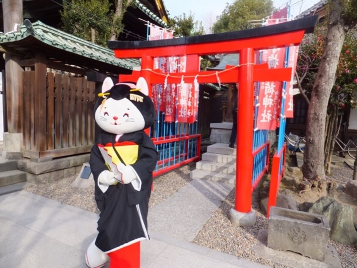 向嶋事問姐さん