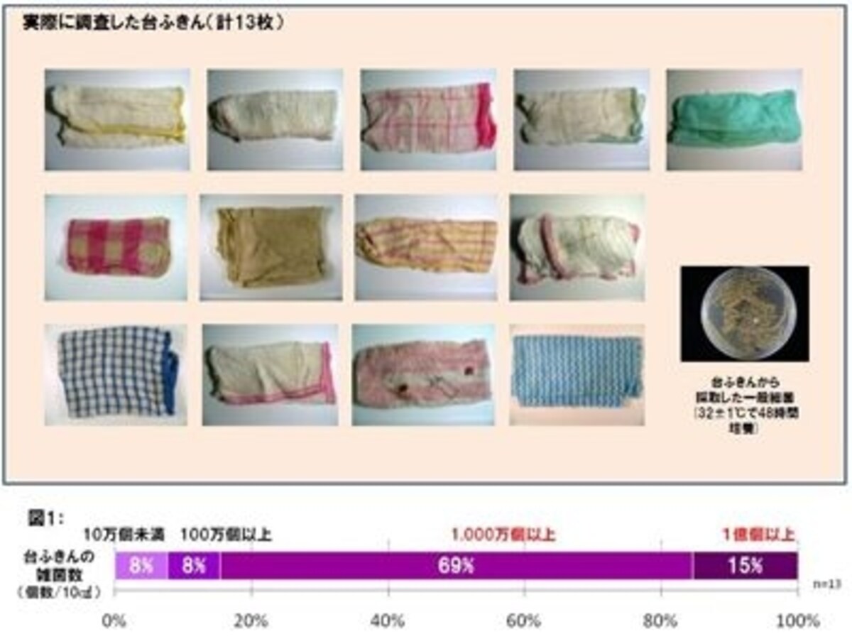 実際に調査した台ふきん（計13枚）