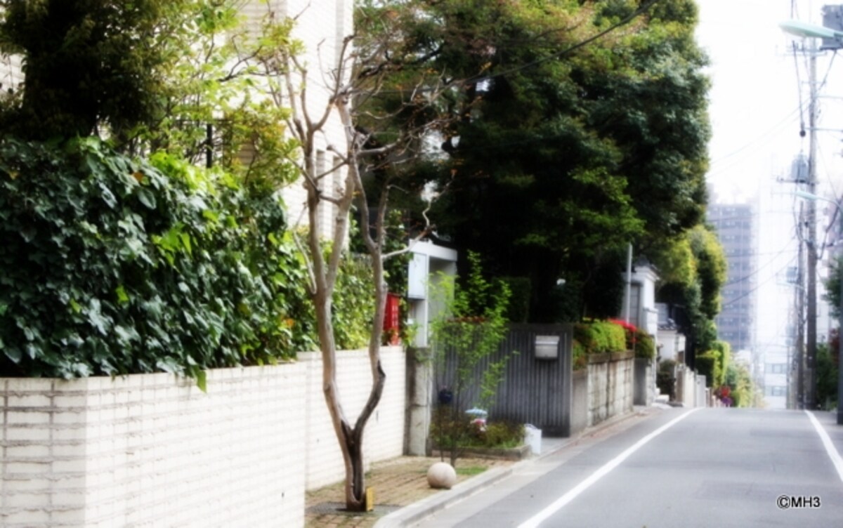 「池田山プレイス」（三菱地所分譲）