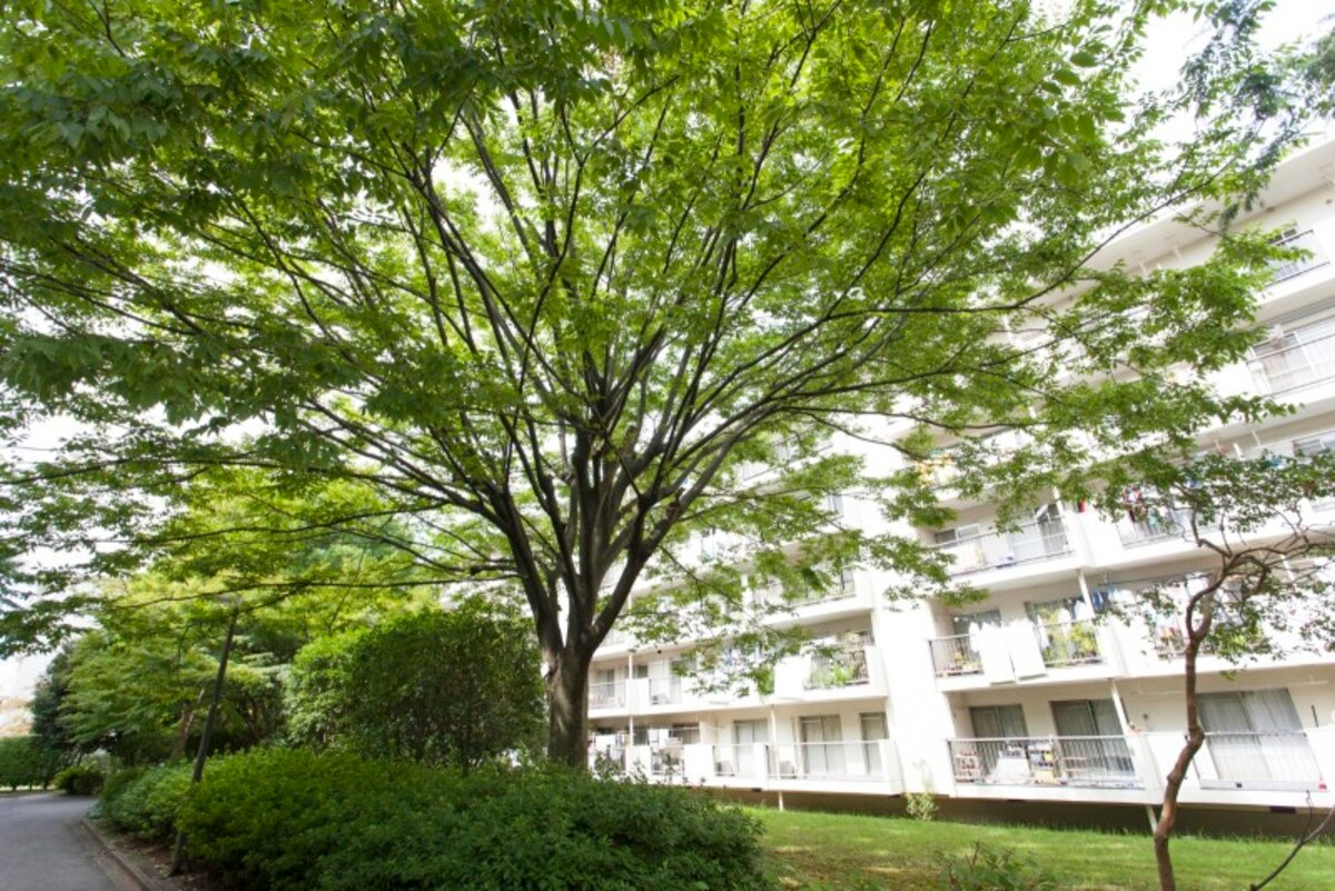 低層マンションは壁式構造になっていることが多い。例えば5階建て以下の団地も多くが壁式構造だ。