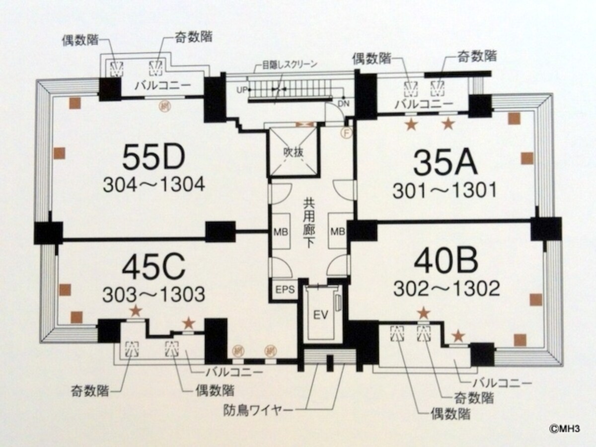 平面図