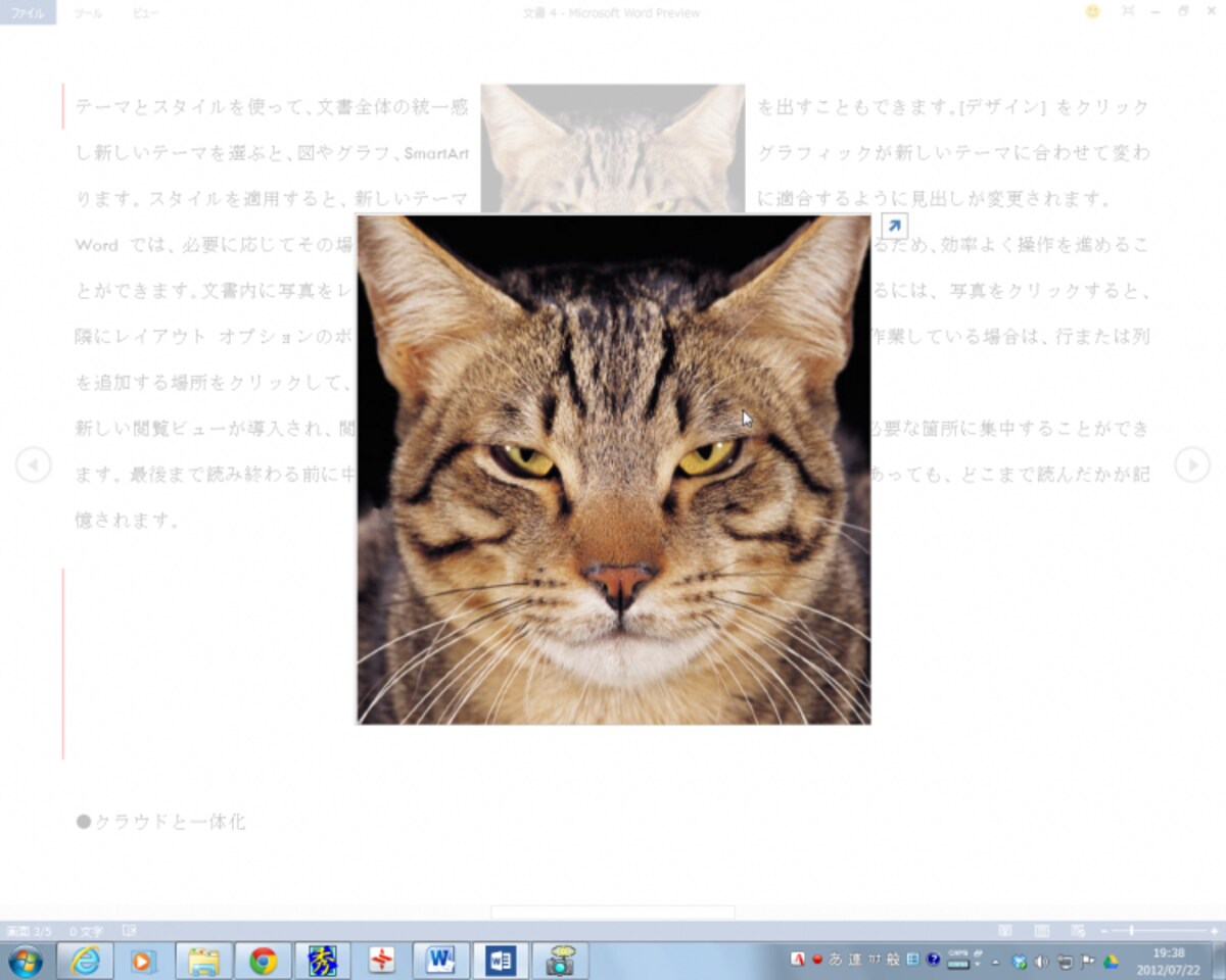 閲覧モードでは、文書中の画像をクリックすると、画像が拡大表示されます。画像右上の矢印をクリックすると、さらに画面全体を使って表示できます。これも、Windows 8のタッチ操作を意識した機能です