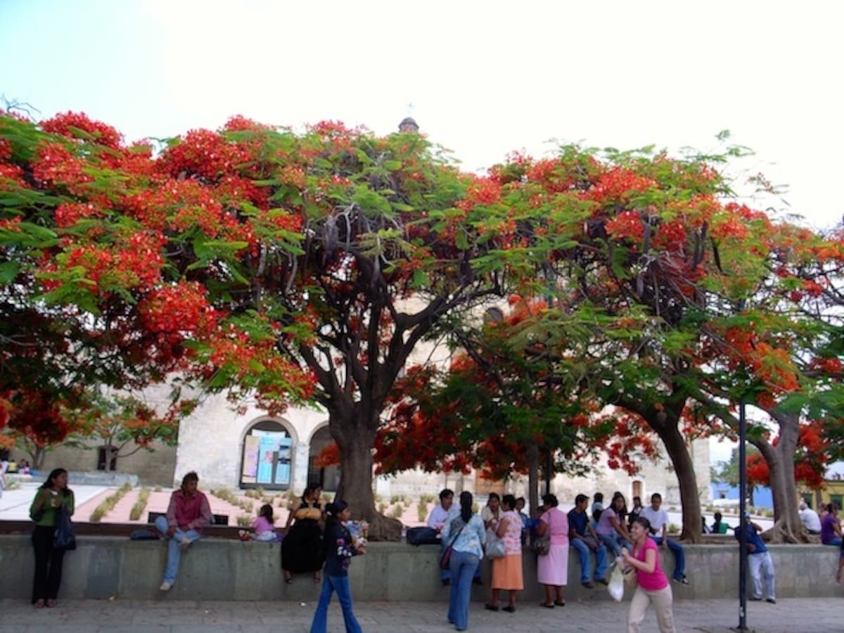 plazasantodomingo