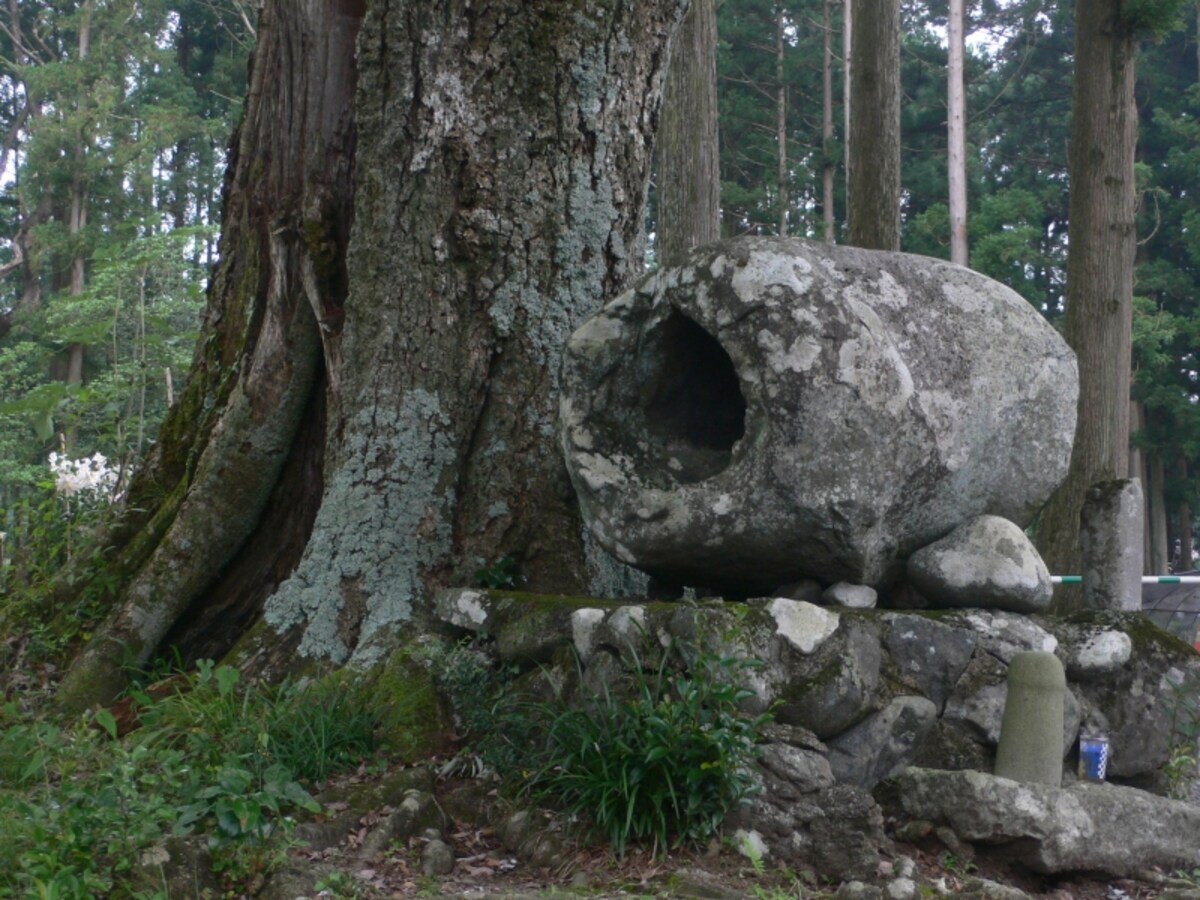 解説画像