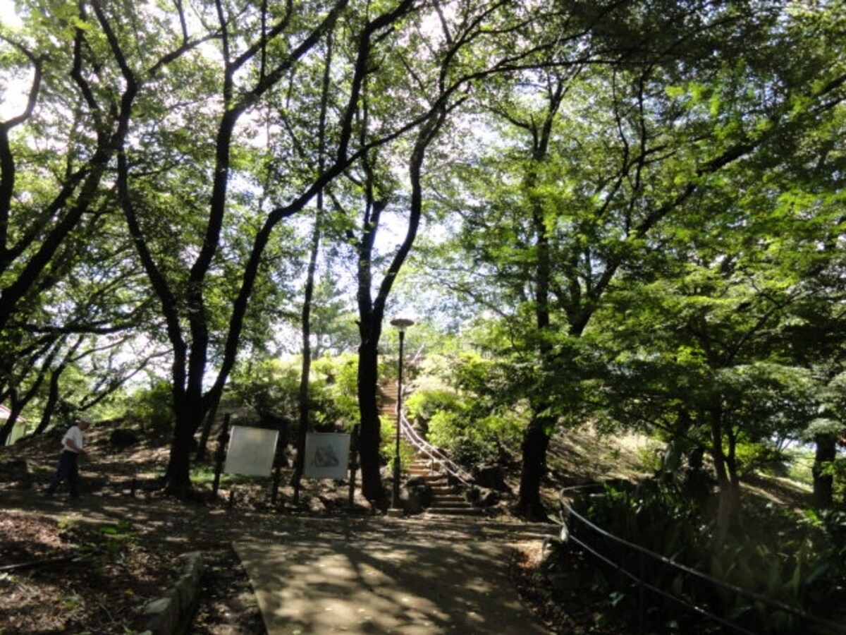 風も吹いてきて、実に気持ちがいい