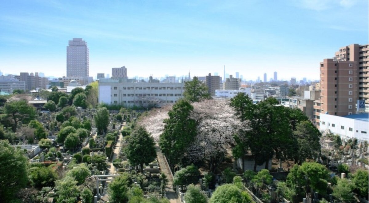 「護国寺」をのぞむ借景　※現地近くより撮影（平成24年○月）