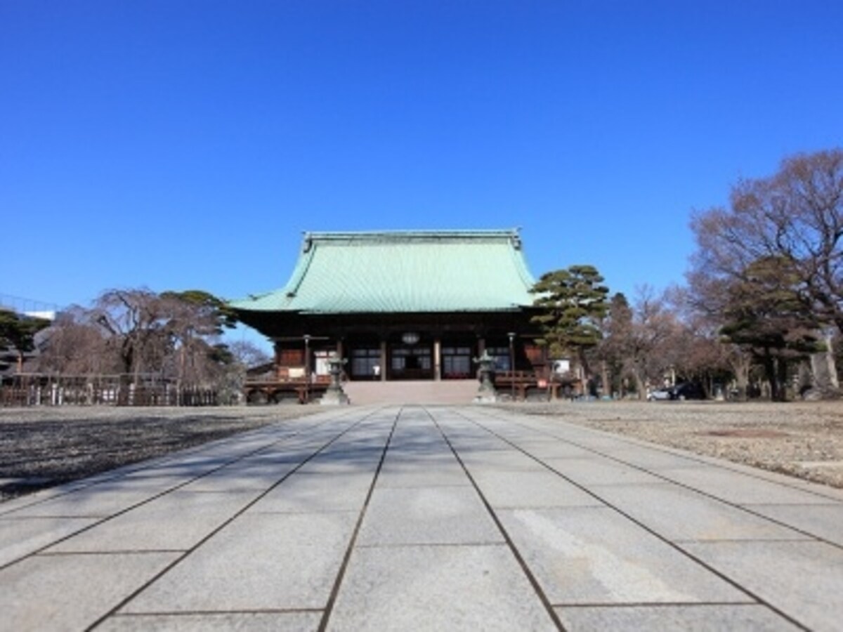 護国寺（約680m、徒歩9分）
