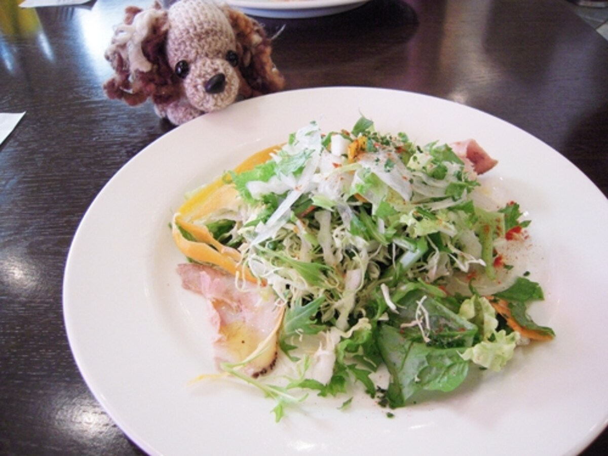旬野菜のあっさりサラダ