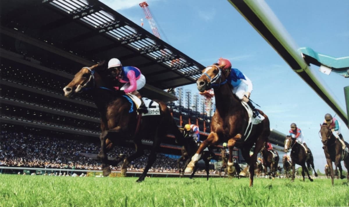 derby