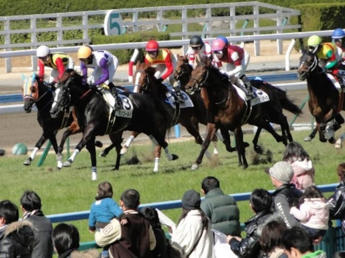 レース画像