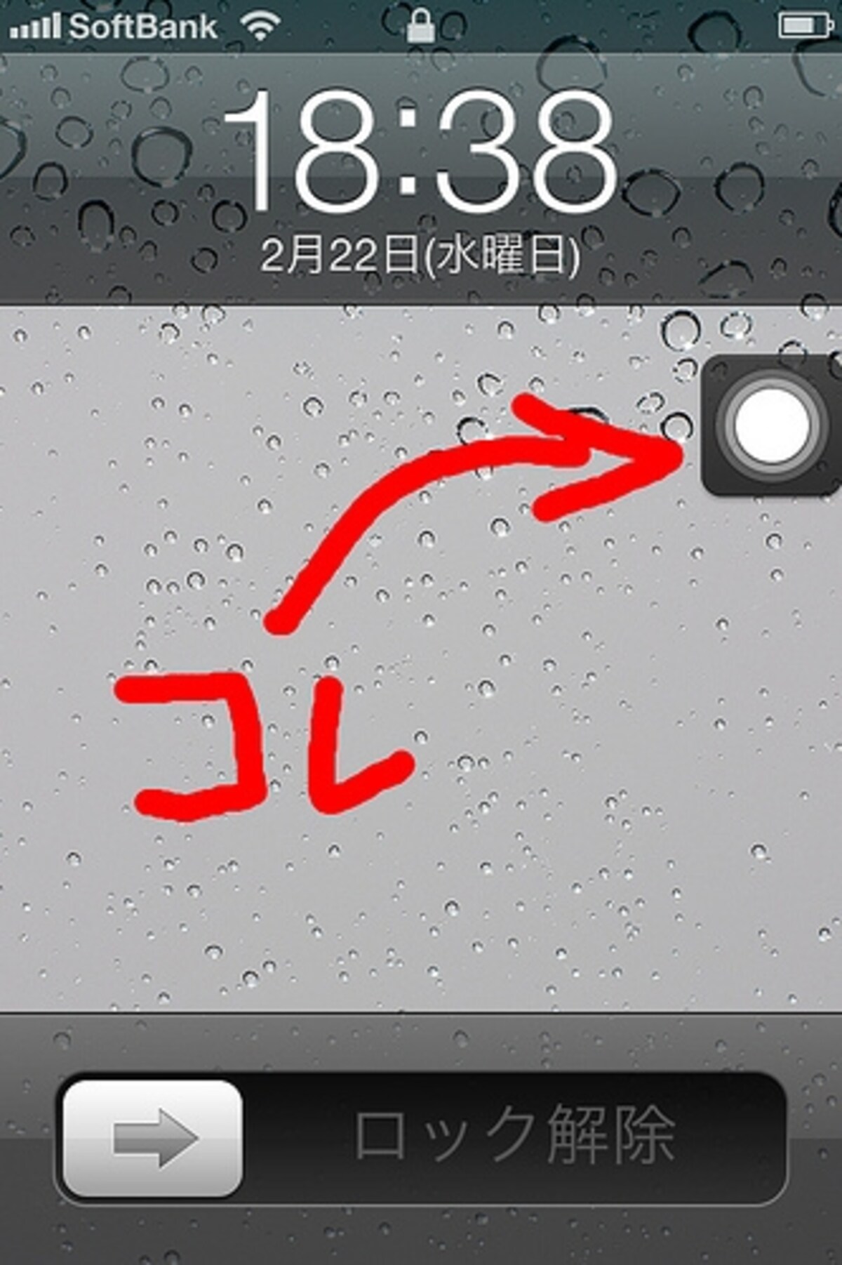 ホームボタン