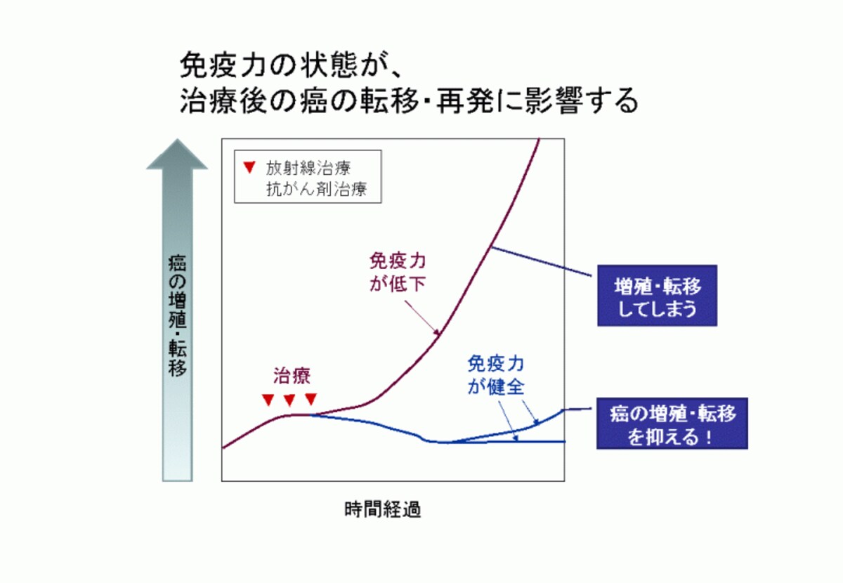がん再発・転移と免疫力