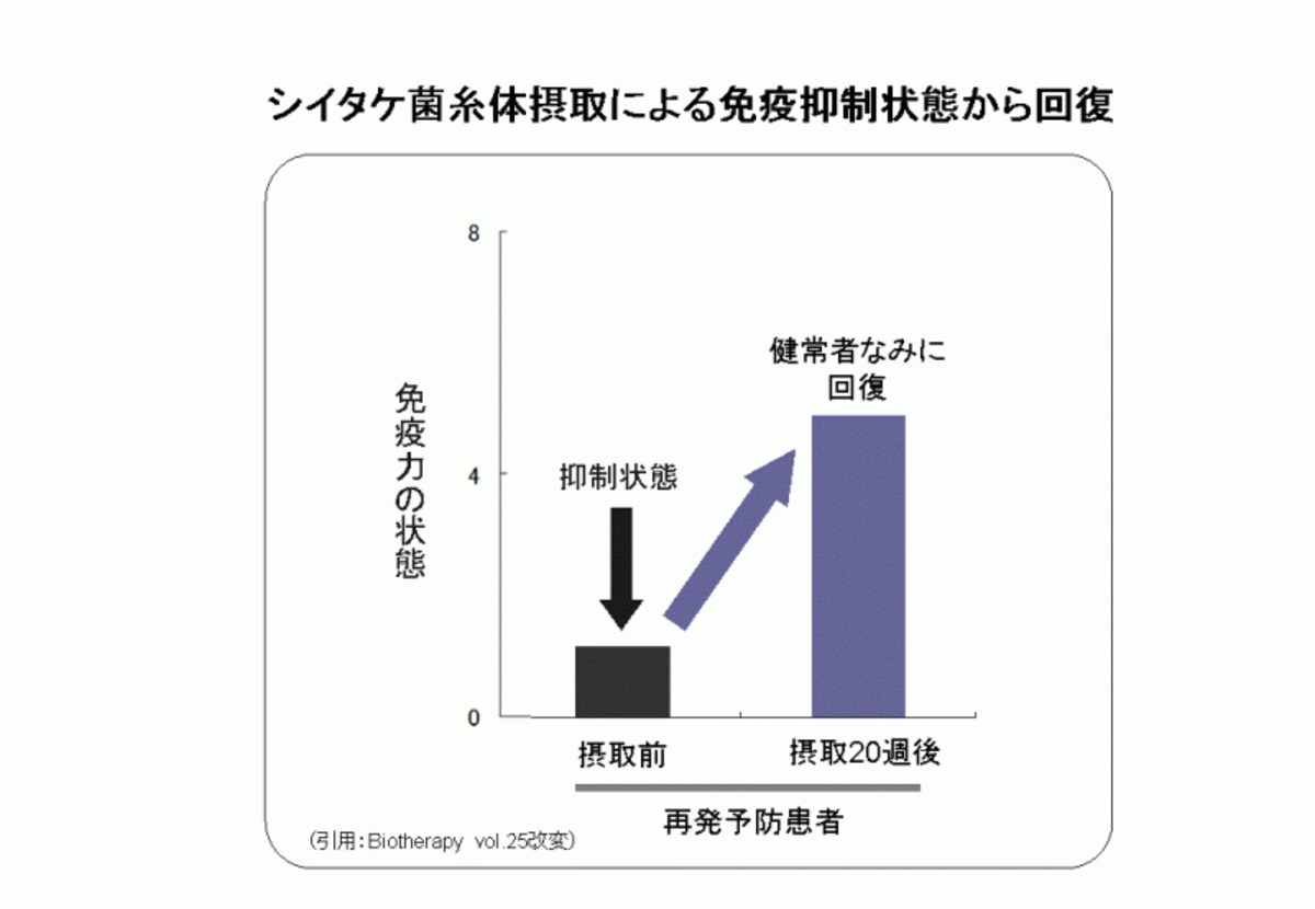 シイタケ菌糸体と免疫力