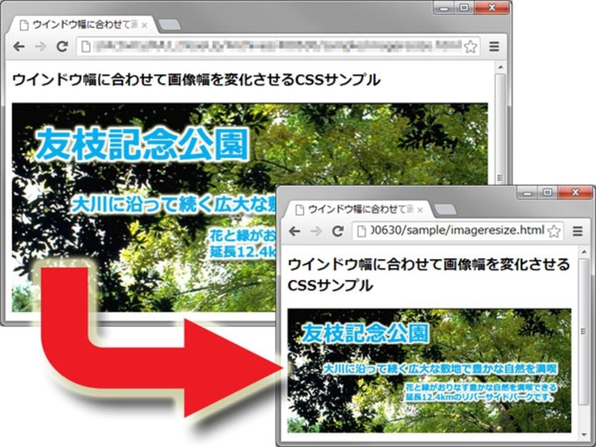 ウインドウサイズに合わせて画像サイズも変化