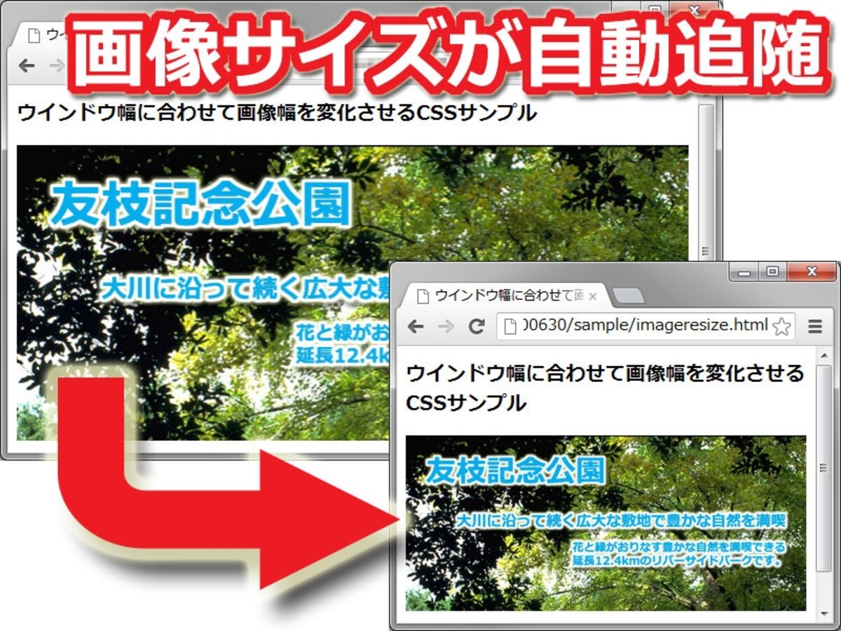 画像サイズがウインドウサイズに自動追随