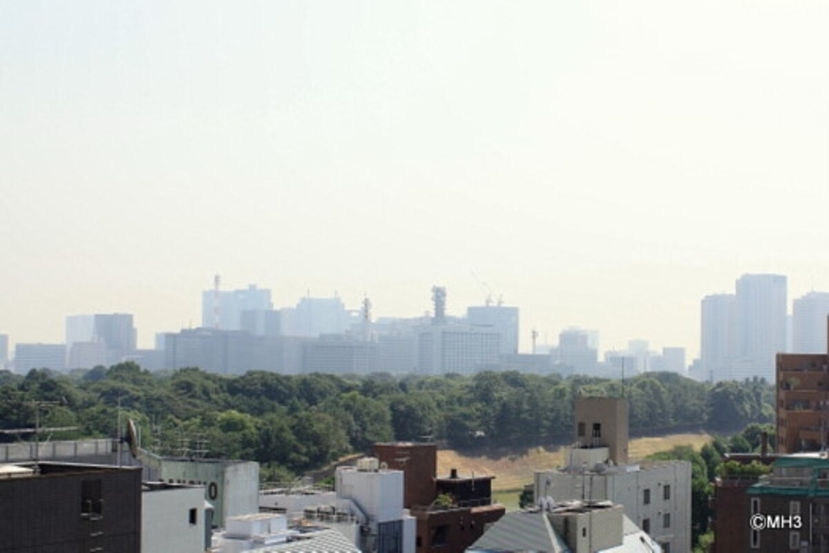 三番町東急アパートメント8階リビングからの眺め。千鳥ケ淵の緑の向こうには大手町のビル群が霞む。夜景も楽しめそうだ。