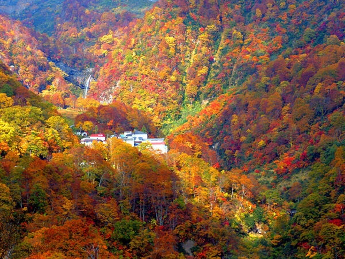 大田切渓谷(燕温泉)の紅葉
