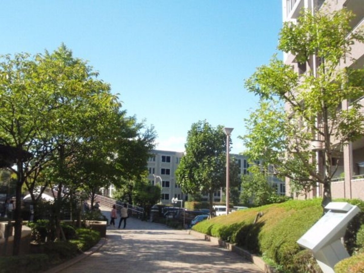 街路