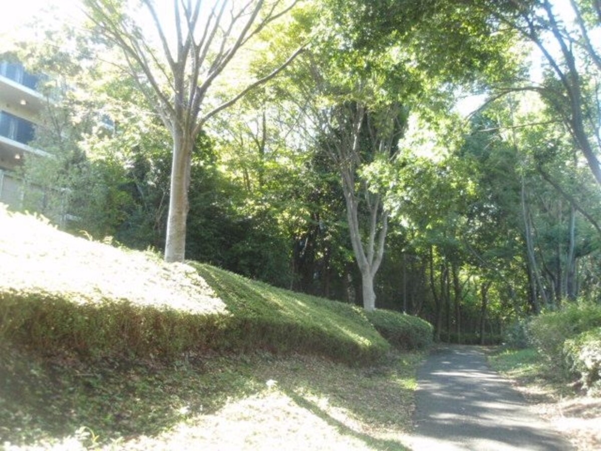 せきれいの道に面した敷地北側