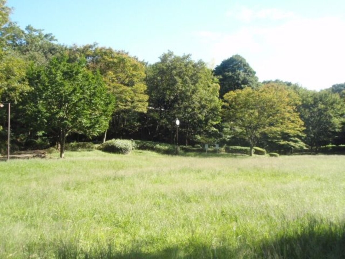 茅ヶ崎南公園側から見た現地