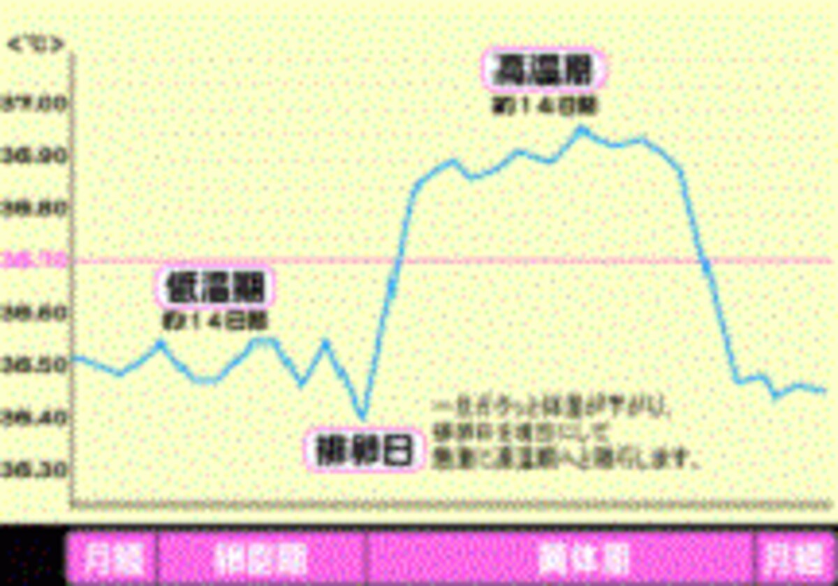 基礎体温表