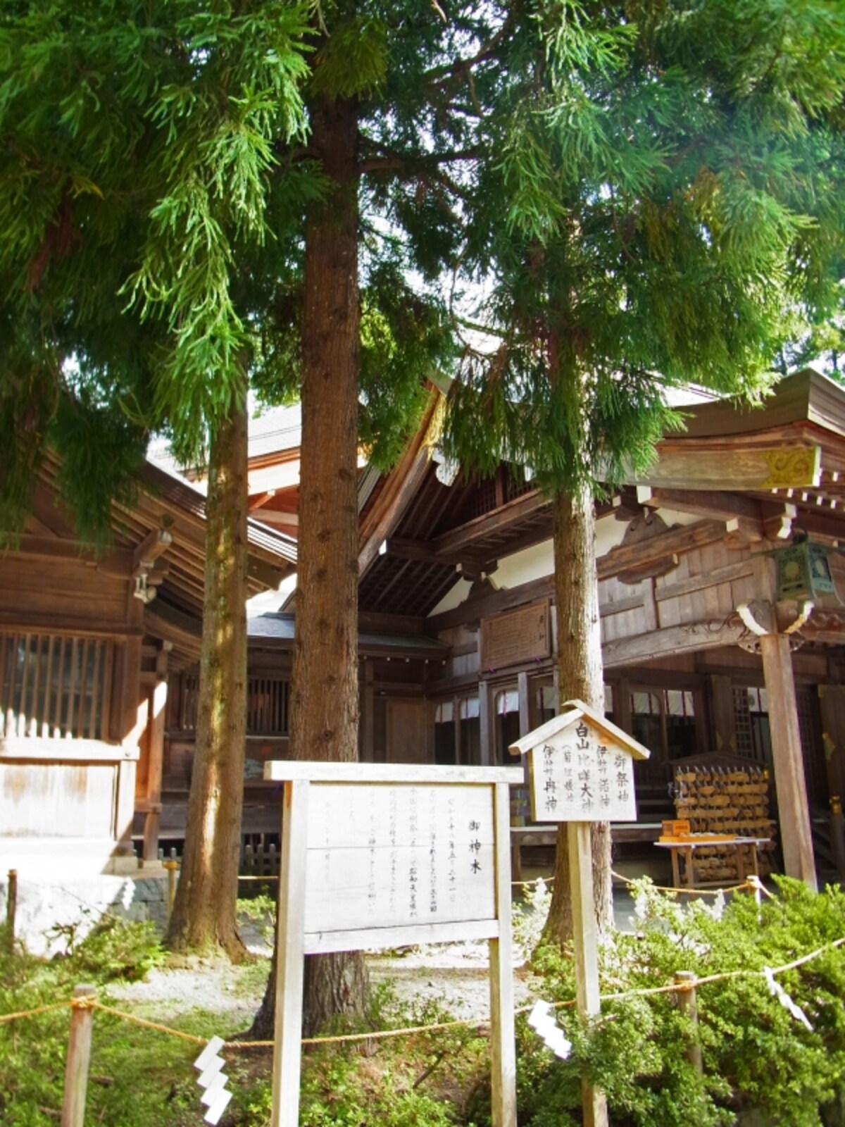 山崎旅館