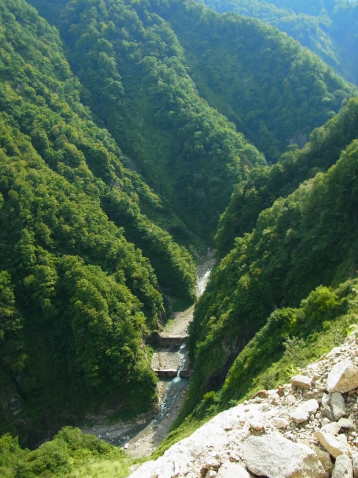 山崎旅館