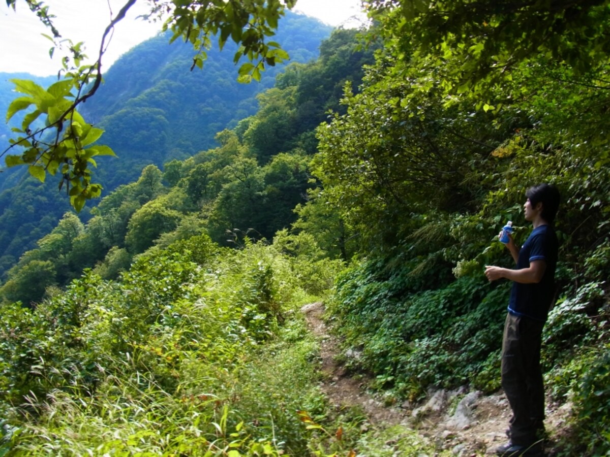 山崎旅館